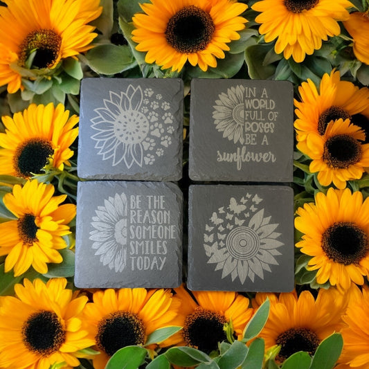 Black Slate costar with Sunflower