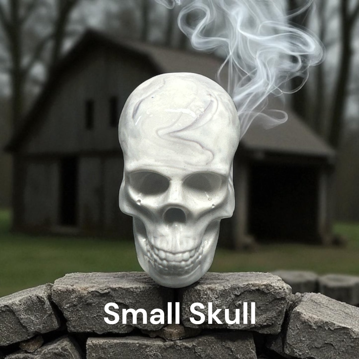 Small Resin Skull