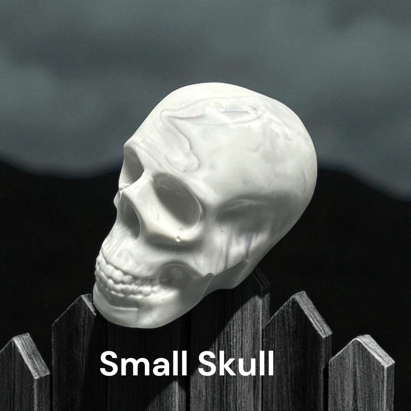 Small Resin Skull